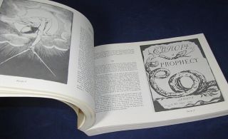 Blake, Annotated by David V. Erdman   Complete William Blake