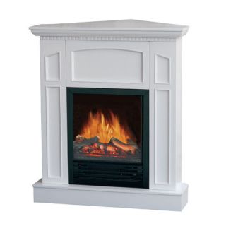 Flametec 750W 1500W Electric Fireplace Stove Heater CSA Csaus Floor