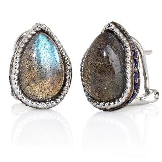 Opulent Opaques Labradorite and Iolite Sterling Silver Earrings