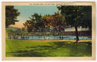  Border Postcard Bathing Pool in En Joie Park, Endicott New York NY