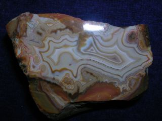 description here is a very nice fairburn agate it looks to me to be