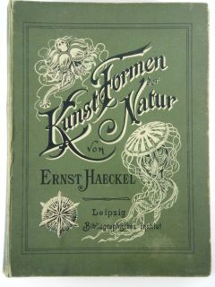  Der Natur Art Forms of Nature Ernst Haeckel Antique 100 Plate