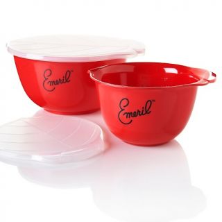 137 960 emeril emeril by zak set of 2 nested mixing bowls with lids