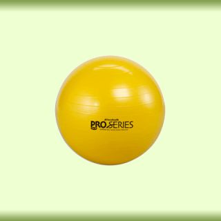  Thera Band Pro Series SCP Exercise Balls
