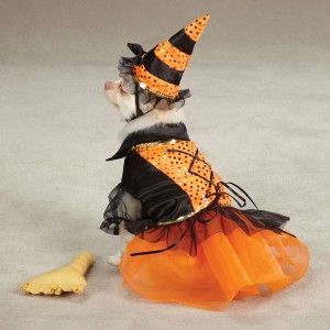 SPELLHOUND WITCH Dog Halloween Costume XS, S, M, L, XL