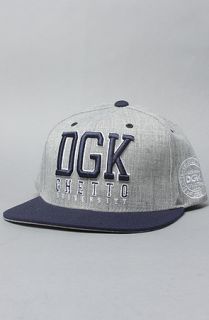 DGK The DGK Head of the Class Snapback Hat in Athletic Heather Grey