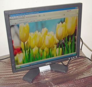 Dell E176FPC 17 LCD Flat Panel Monitor w Video Cable