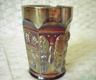 Old Fenton Butterfly & Berry carnival glass tumbler, pre 1926