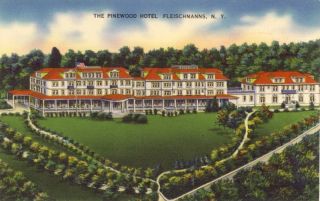 Pinewood Hotel Fleischmanns NY New York 1940s Vintage Linen Postcard