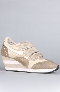 Ash Shoes The Alfa Sneaker in Clay Suede and Washed Canvas  Karmaloop