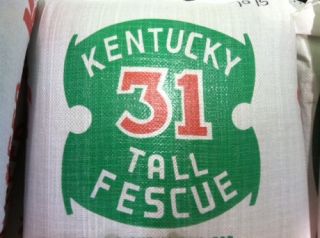Kentucky 31 Tall Fescue Grass Seed K 31 5 lbs 98 Pure