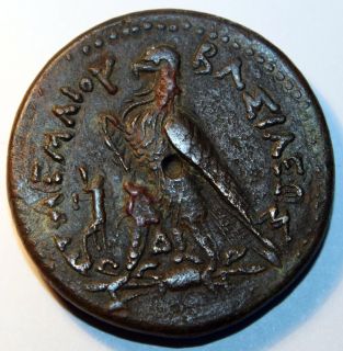 Quality Large Ancient Greek Egyptian Ptolemy Bronze Coin Eagle 3rd