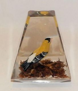  Lucite Acrylic Paperweight Wood Carved Finch Bird Pyramid