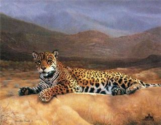  Charles Frace Print s N "First Light" Jaguar