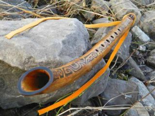 Fallen Branch Native American Style Flute G by Dale