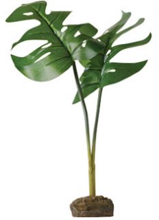 Exo Terra Smart Plant Philodendron Tree Frog Plant PT2978