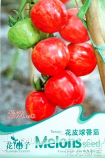  Sack 20 Tomato Fruit Seed Fresh Delicious Vegetable Seeds Magic Price
