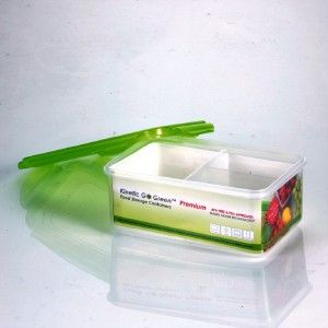  freezer rectangular divided section food storage container perfect for