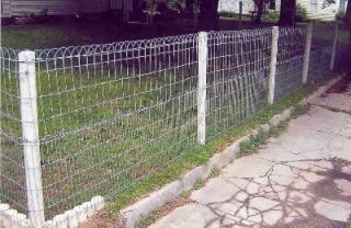 48 Ornamental Wire Fencing Loop Top Garden Lawn Fence to Enclose Your