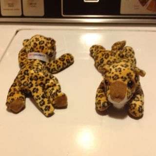 RARE Pharmaceutical Drug Rep Vicoprofen Leopard Beanie Baby WOW New
