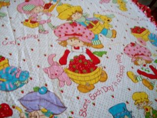 Vintage Vtg Strawberry Shortcake Canopy Top Valance Bedding Fabric