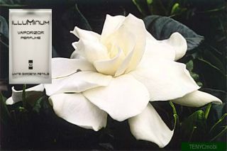 White Gardenia Petals Illuminum 50ml 