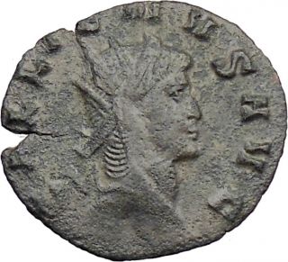 Gallienus 267AD Ancient Roman Coin Panther One of Gallienus Last