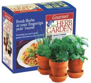 Gourmet Chia Herb Garden Grow Fresh Herbs Year Round 6 Herbs Included