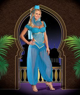 E00 Arabian Genie Aladdin Fancy Dress Up Costume Ladies