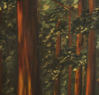  Old Oil Painting Giant Big Redwood Trees Signed Arnold Coleman