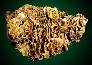 Golden Brown Wulfenite Crystals Defiance Mine AZ