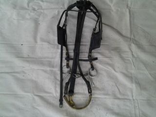 Standardbred Harness Horse Racing Nylon BLIND Bridle SS double twisted
