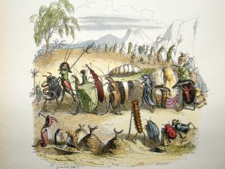 Grandville Des Animaux 1842 Hand Col Print Marching Insects