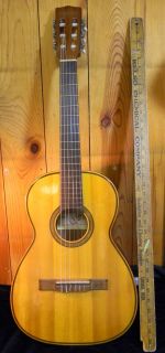 Tranquillo Giannini Brazilian acoustic classical guitar model GN50 ser