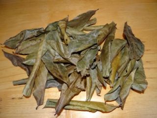 GRAVIOLA SOUR SOP GUANABANA PAW PAW LEAVES 100 Dried ~  BRAZIL