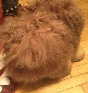 Bearpaw Boetis 457W Womens Boots Sheepskin Suede Curly Lamb Fur Size