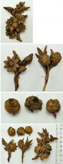 Antique Wooden Carved Flowers and Pine Cones Grinling Gibbons