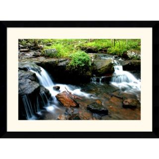  State by Andy Magee Framed Fine Art Print   28.62 x 38.62