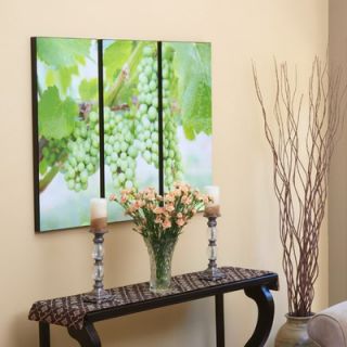  Piece Green Vineyard Grapes Laminated Framed Wall Art Set   36 x 50