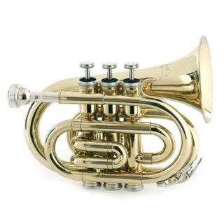 RS Berkeley University Series Alto Saxophone