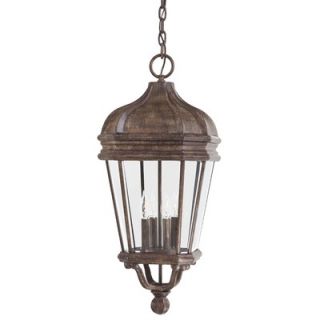  Outdoor Hanging Lantern in Vintage Gold Leaf   8905 65 / 8908 65