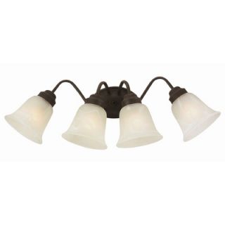TransGlobe Lighting Vanity Light with Marbleized Glass   3107 ROB