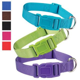 Nylon Dog Collar and Lead Prepack 90 Pieces
