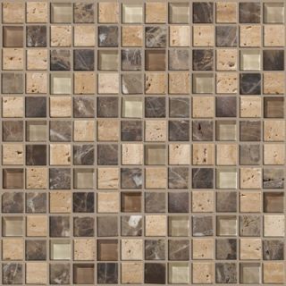 Shaw Floors Mixed Up 1 x 1 Mosaic Stone Accent Tile in River Bed