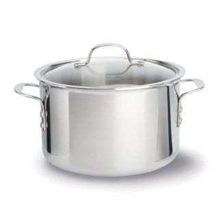 Tri Ply Stainless Steel 8 Quart Stock Pot with Cover