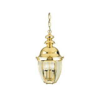 Vaxcel Capital Outdoor Pendant in Titanium Polished Brass