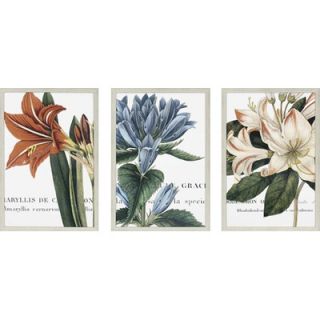Paragon Botanique Florals Art Set   Botanique Series