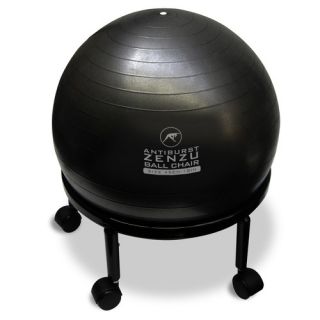 Cando Adjustable Ball Chair with Back   30 179