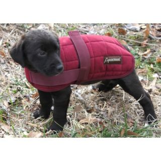 ABO Gear Quilted Dog Coat   204/2072