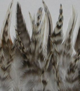  10 GRIZZLY FEATHERS HAIR EXTENSIONS WHITING GRAY 5 6 NATURAL FEATHER
